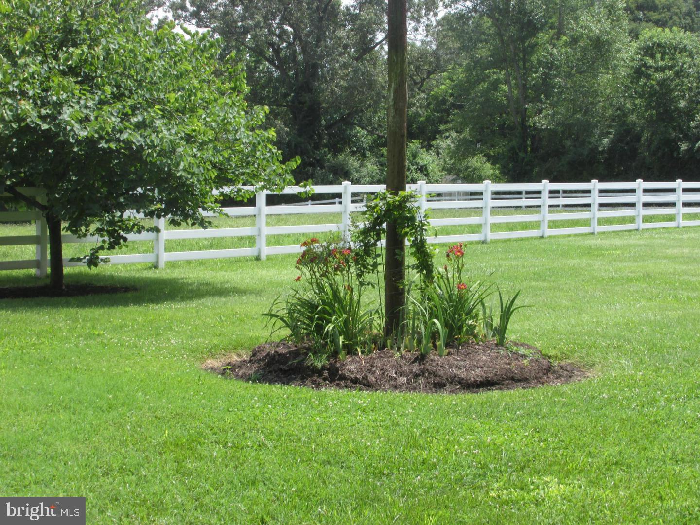 6363 Palmer Mill Road Hurlock, MD 21643 - Photo 13 of 52 Yard