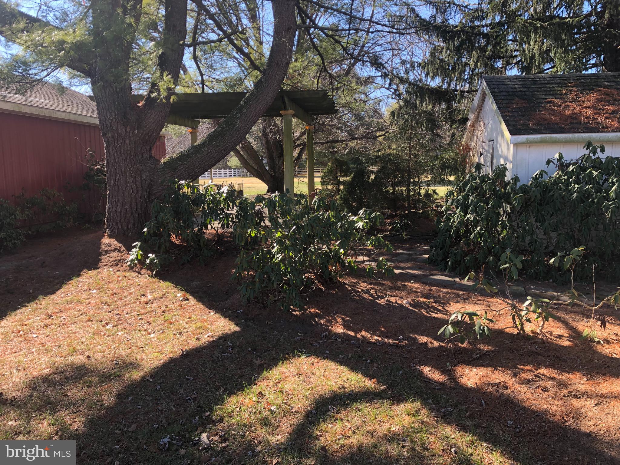 6363 Palmer Mill Road Hurlock, MD 21643 - Photo 42 of 52 Garden