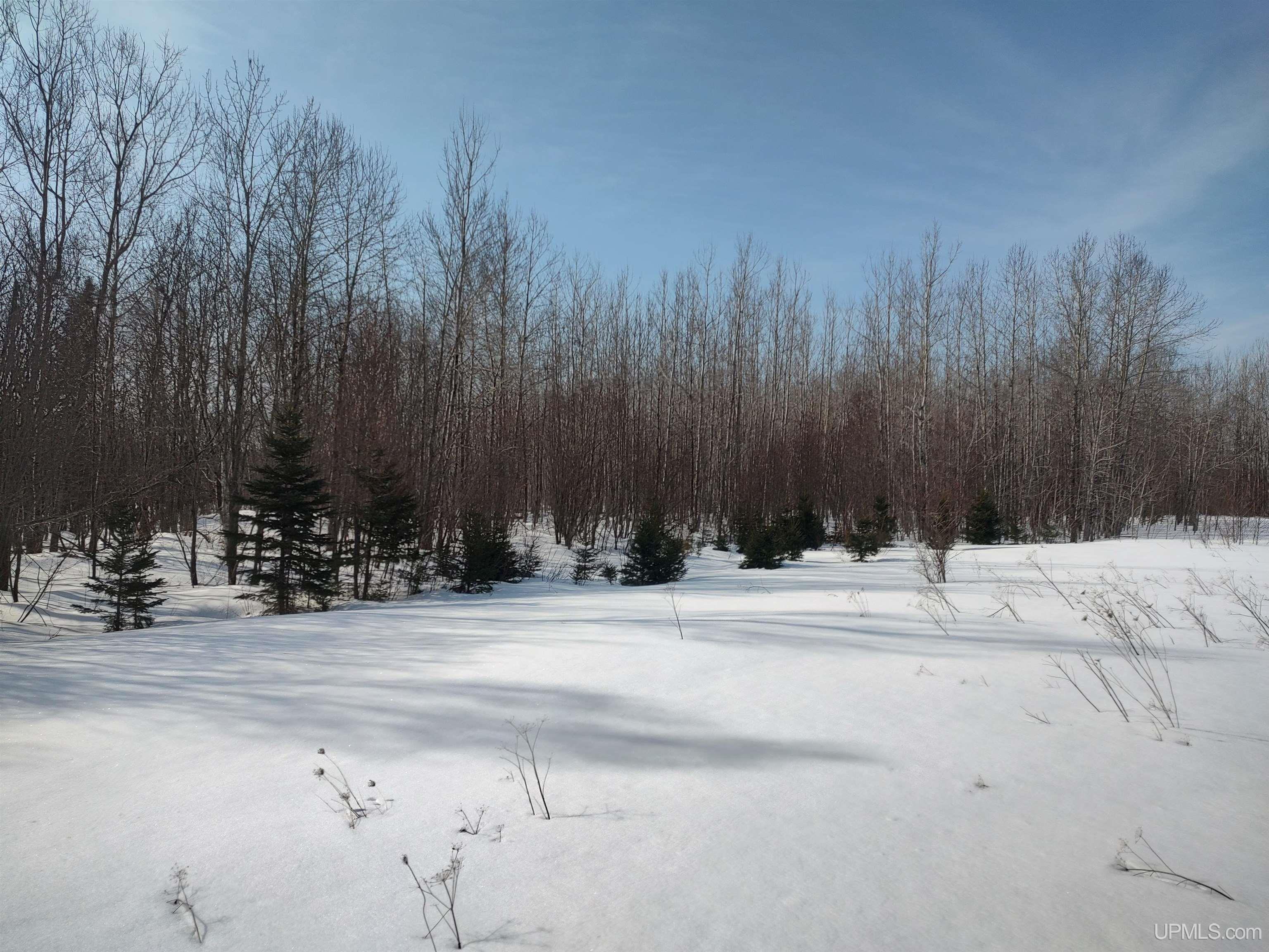 30-acres Parkington Road Gulliver, MI 49840 - Photo 18 of 31