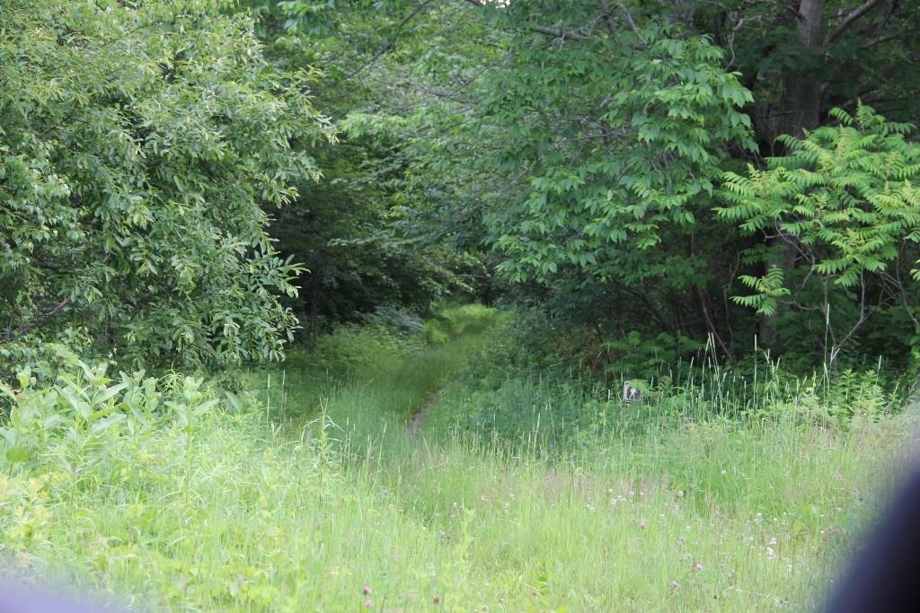 29 Pine Tree Road Litchfield, ME 04350 - Photo 7 of 10 Photo