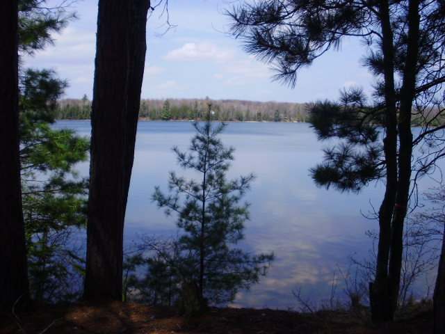 3712 Deerskin Road Eagle River, WI 54521 - Photo 2 of 7 Gallery Image 2