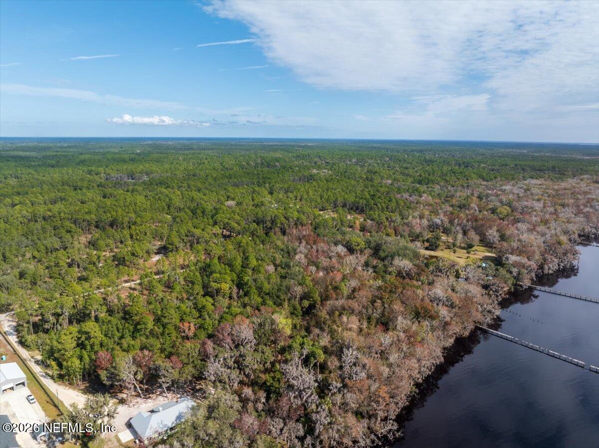 145 Atkins Road Georgetown, FL 32139 - Photo 5 of 9 a view of a big yard with lots of bushes