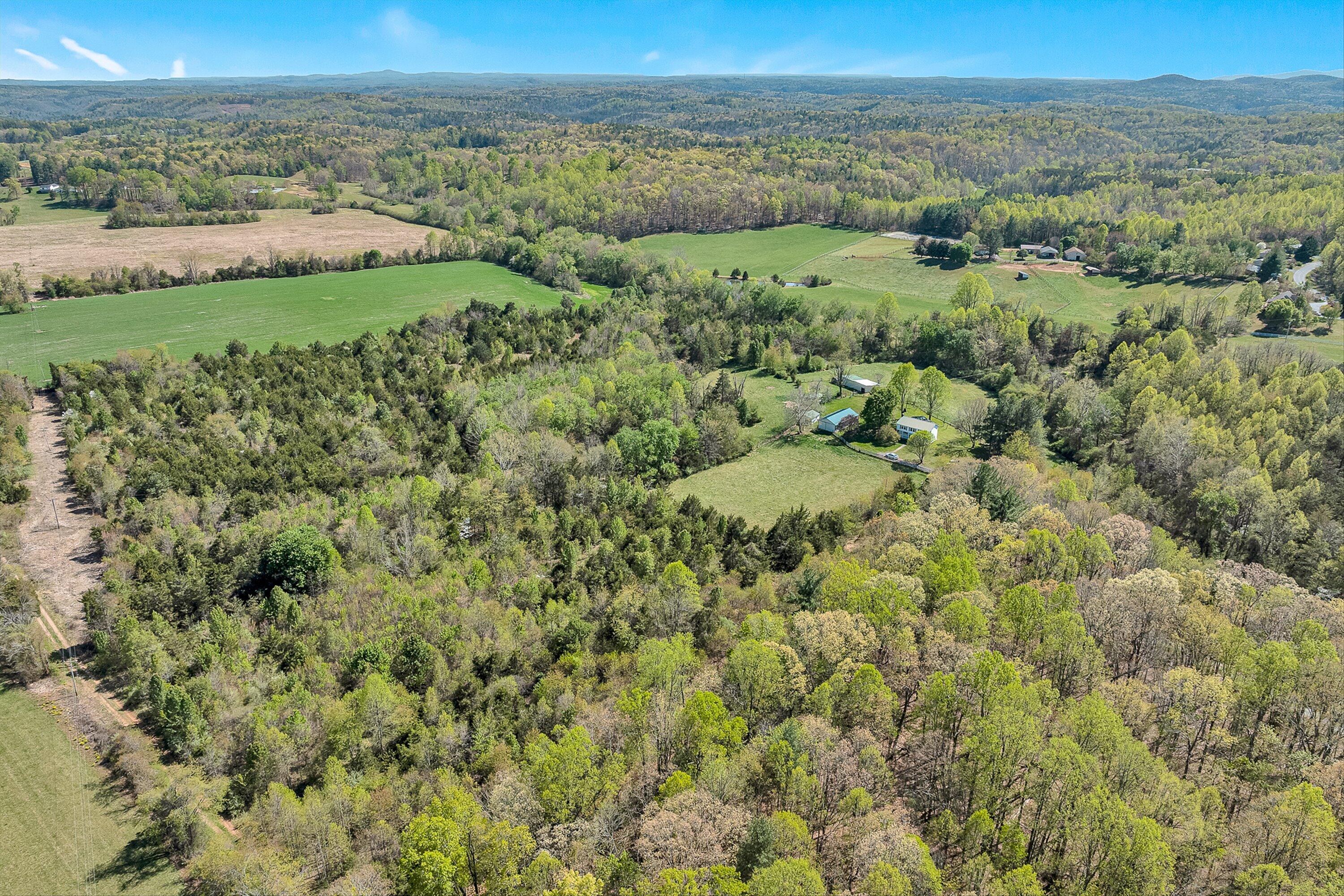 1220 Holley Ridge Road Henry, VA 24102 - Photo 64 of 70 63-VM-0988