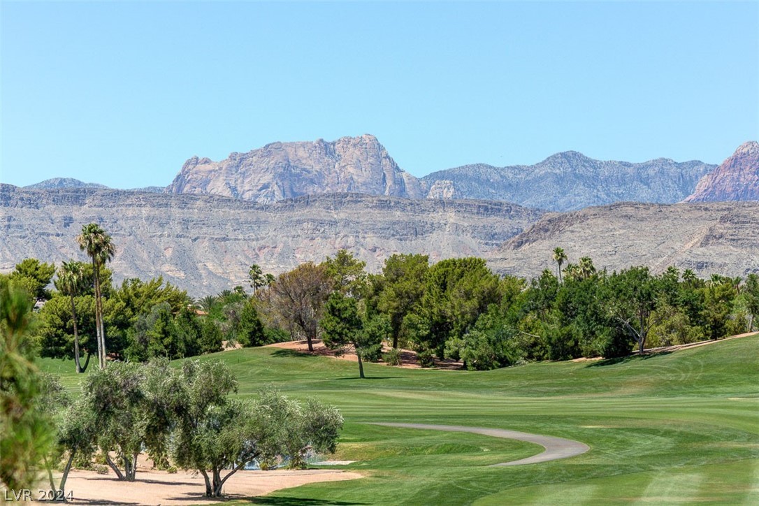 9005 Robinson Ridge Drive Las Vegas, NV 89117 - Photo 97 of 99
