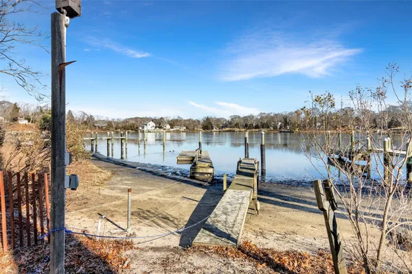 a view of a park with large trees