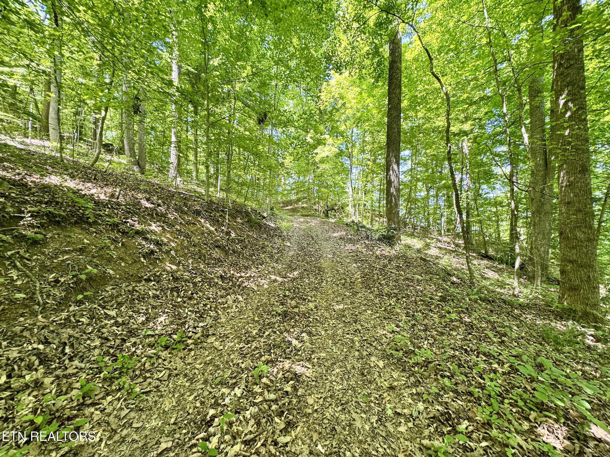 Ridgeview Drive Clinton, TN 37716 - Photo 8 of 15 2-8