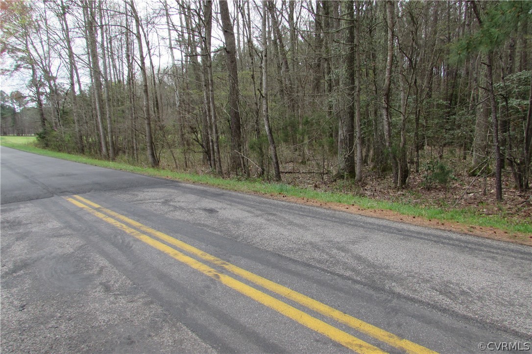 14418 Scotts Road Dewitt, VA 23840 - Photo 15 of 17 a view of a yard with palm trees