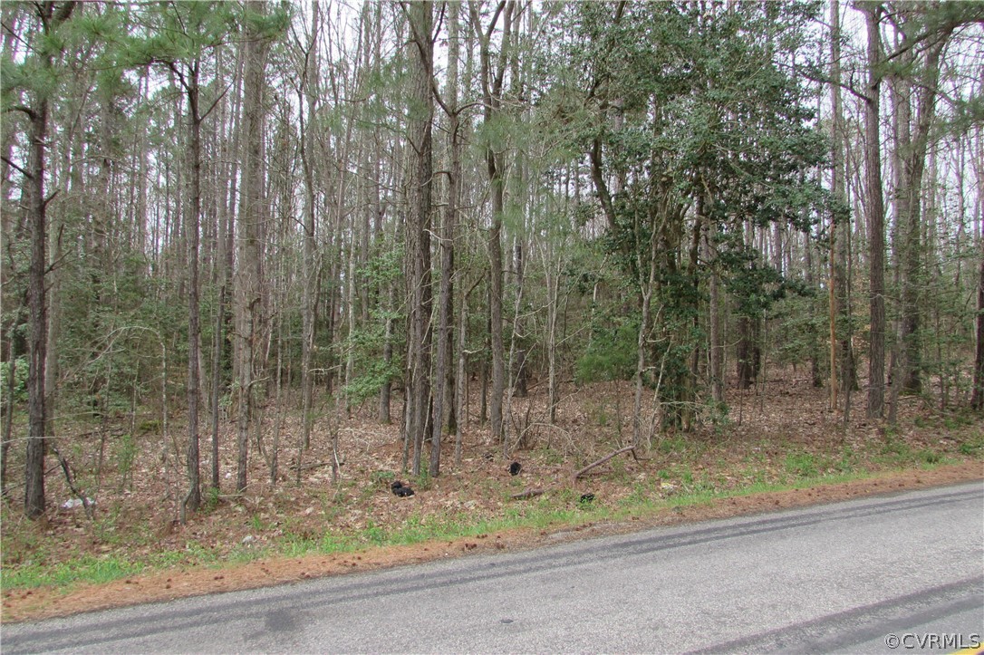 14418 Scotts Road Dewitt, VA 23840 - Photo 16 of 17 a view of a yard with a trees