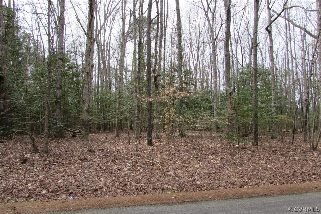 14418 Scotts Road Dewitt, VA 23840 - Photo 17 of 17 a view of a forest with trees in the background