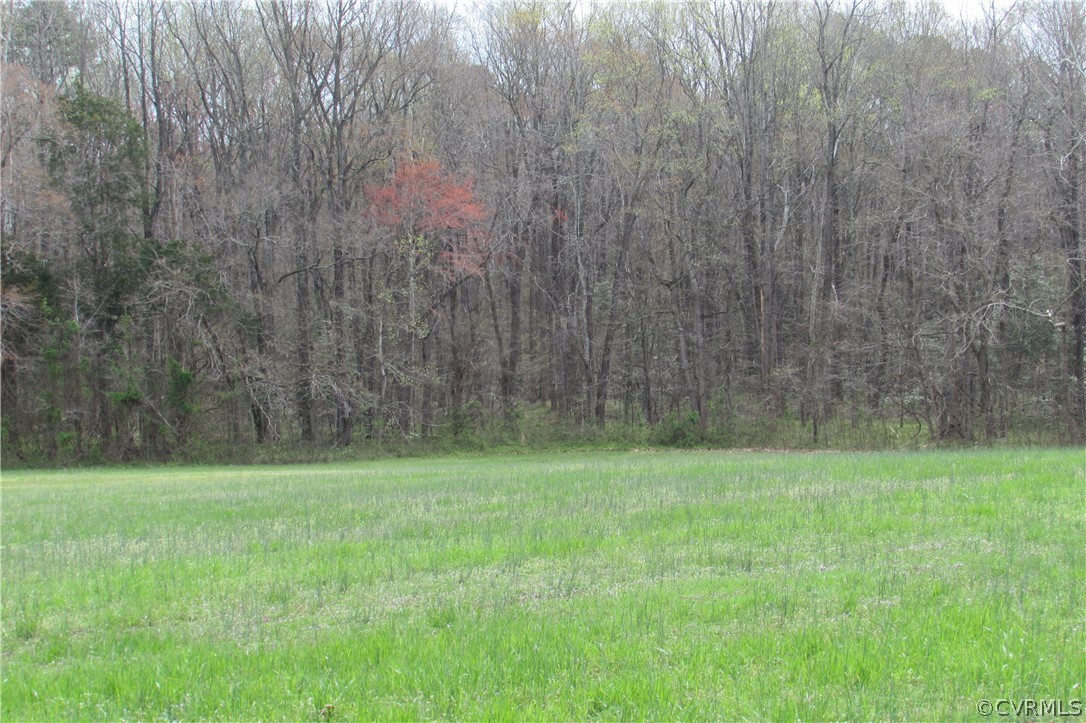 14418 Scotts Road Dewitt, VA 23840 - Photo 4 of 17 a view of a grassy field