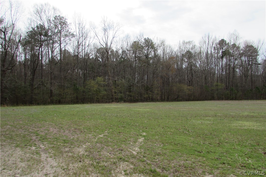 14418 Scotts Road Dewitt, VA 23840 - Photo 6 of 17 a view of a field of grass and trees