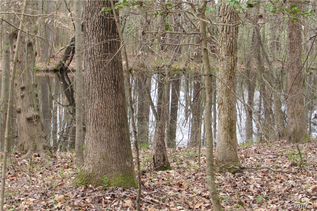 14418 Scotts Road Dewitt, VA 23840 - Photo 7 of 17 a view of a backyard of the house