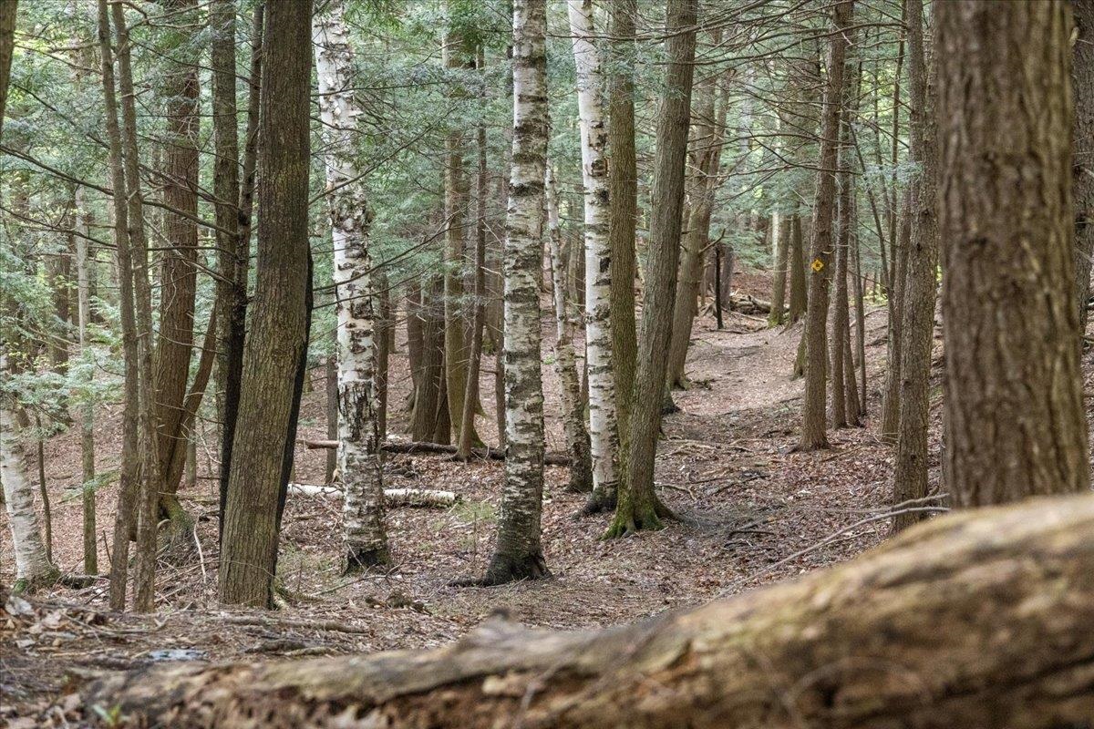 221 Dump Road Warren, VT 05674 - Photo 24 of 33