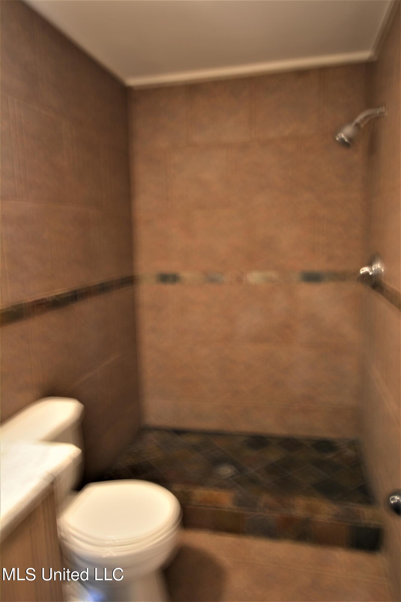 1925 Gwynn Road Nesbit, MS 38651 - Photo 24 of 33 Upstairs Hall Bathroom
