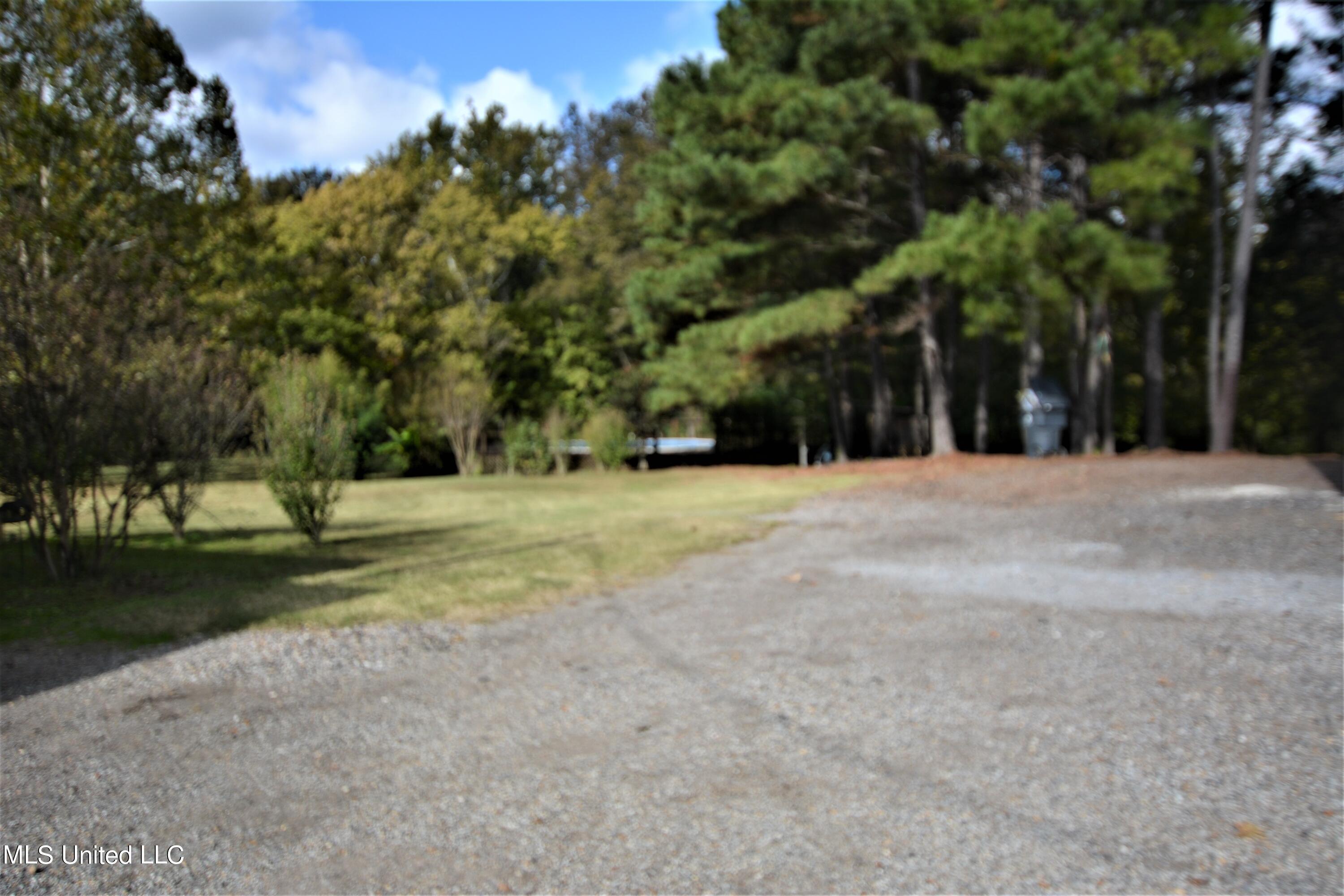 1925 Gwynn Road Nesbit, MS 38651 - Photo 28 of 33 Backyard