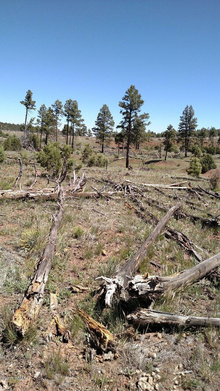 3657 Highway 260 Overgaard, AZ 85933 - Photo 1 of 15 a view of a dry field with trees in the background