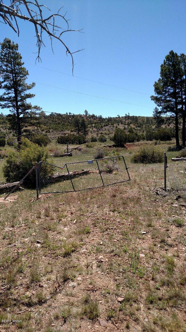 3657 Highway 260 Overgaard, AZ 85933 - Photo 11 of 15 a view of a dry yard with wooden fence