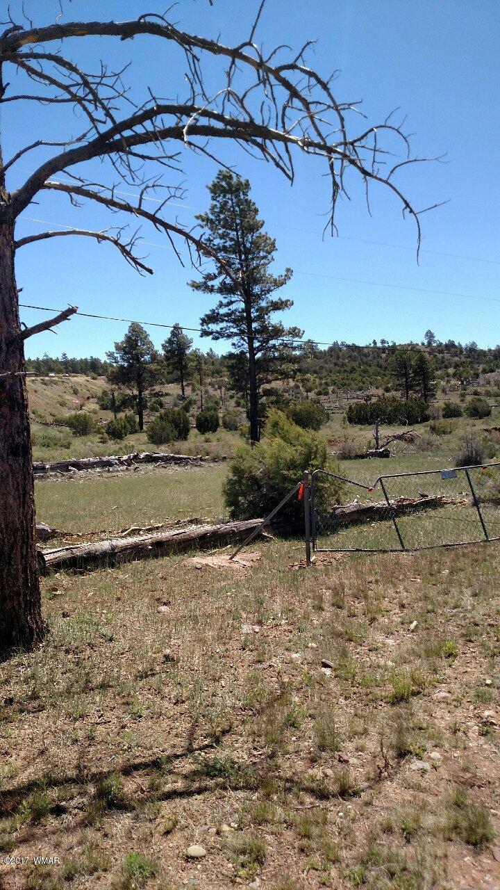 3657 Highway 260 Overgaard, AZ 85933 - Photo 13 of 15 a view of a backyard of the house