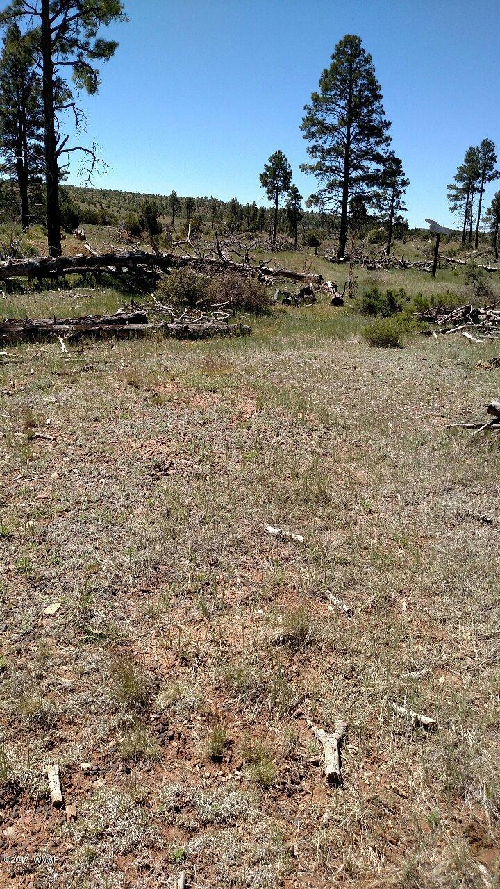 3657 Highway 260 Overgaard, AZ 85933 - Photo 14 of 15 a view of a lake view