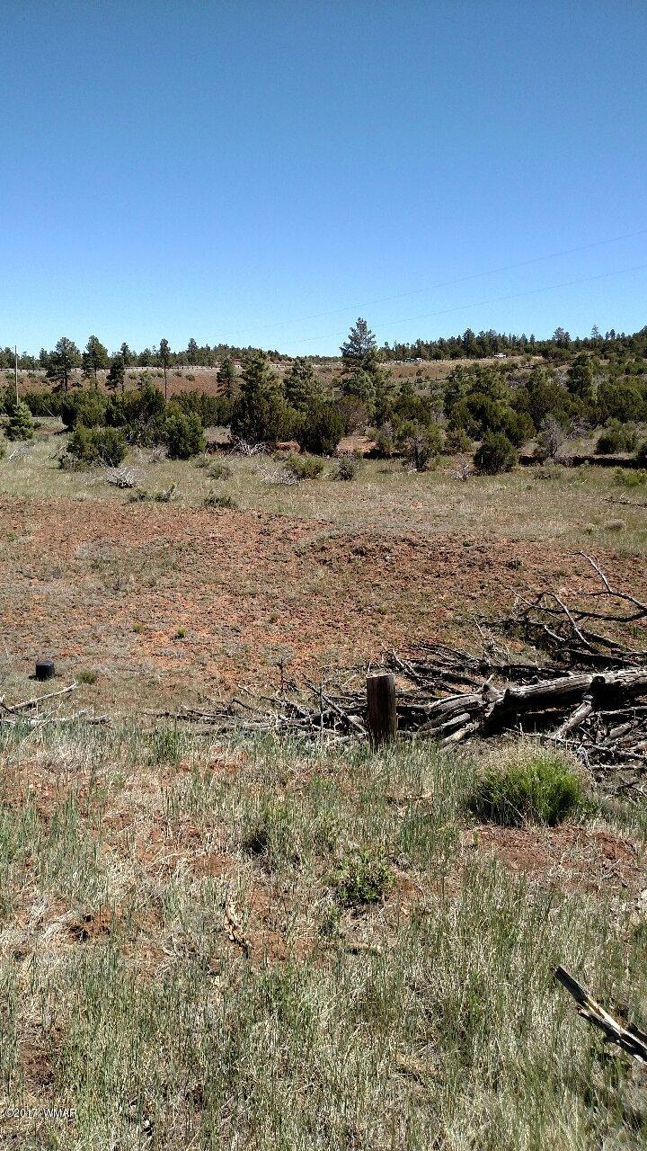 3657 Highway 260 Overgaard, AZ 85933 - Photo 15 of 15 a view of a lake with houses in back