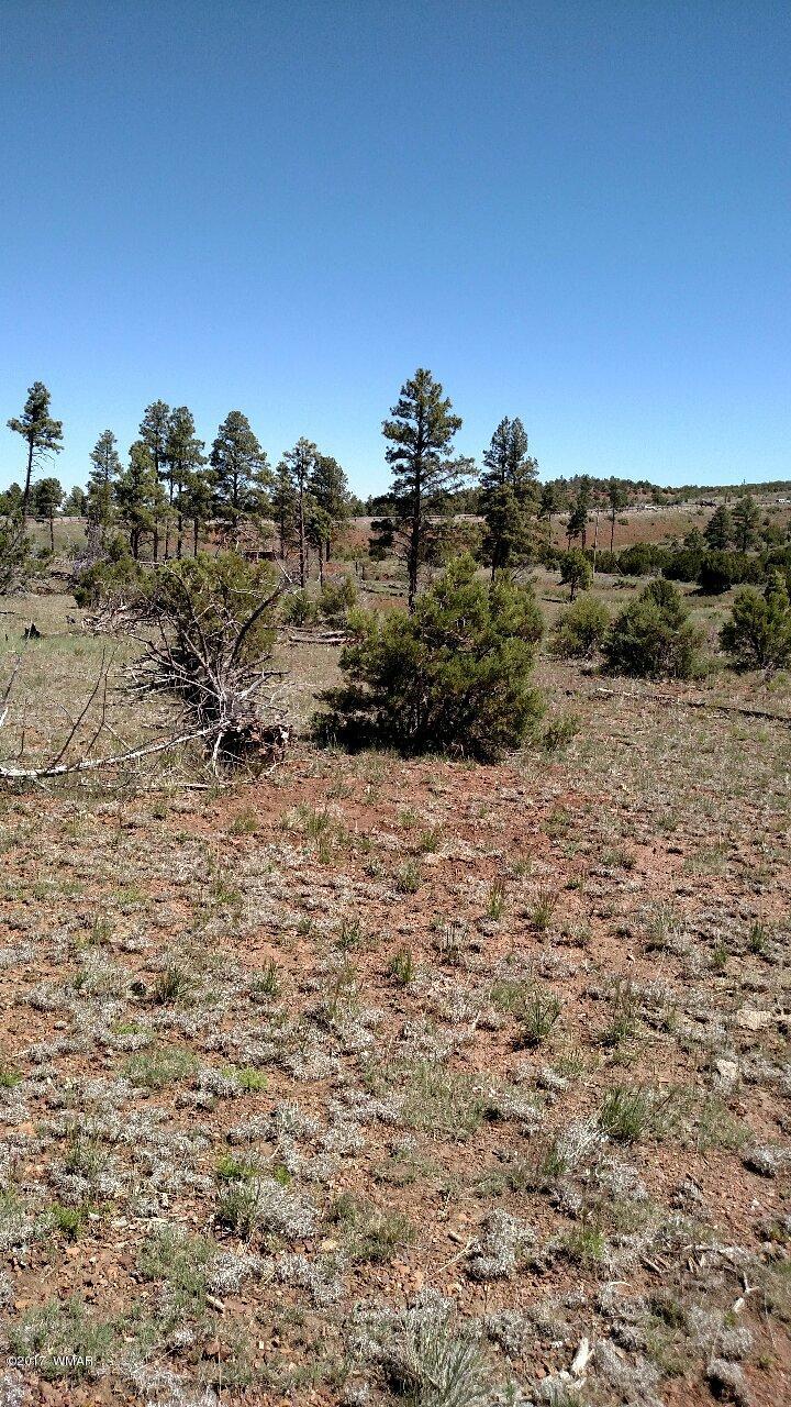 3657 Highway 260 Overgaard, AZ 85933 - Photo 2 of 15 a view of a dry yard with trees
