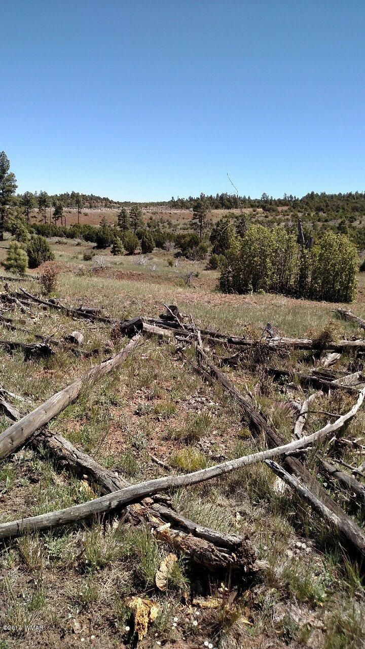 3657 Highway 260 Overgaard, AZ 85933 - Photo 4 of 15 an aerial view of field with trees