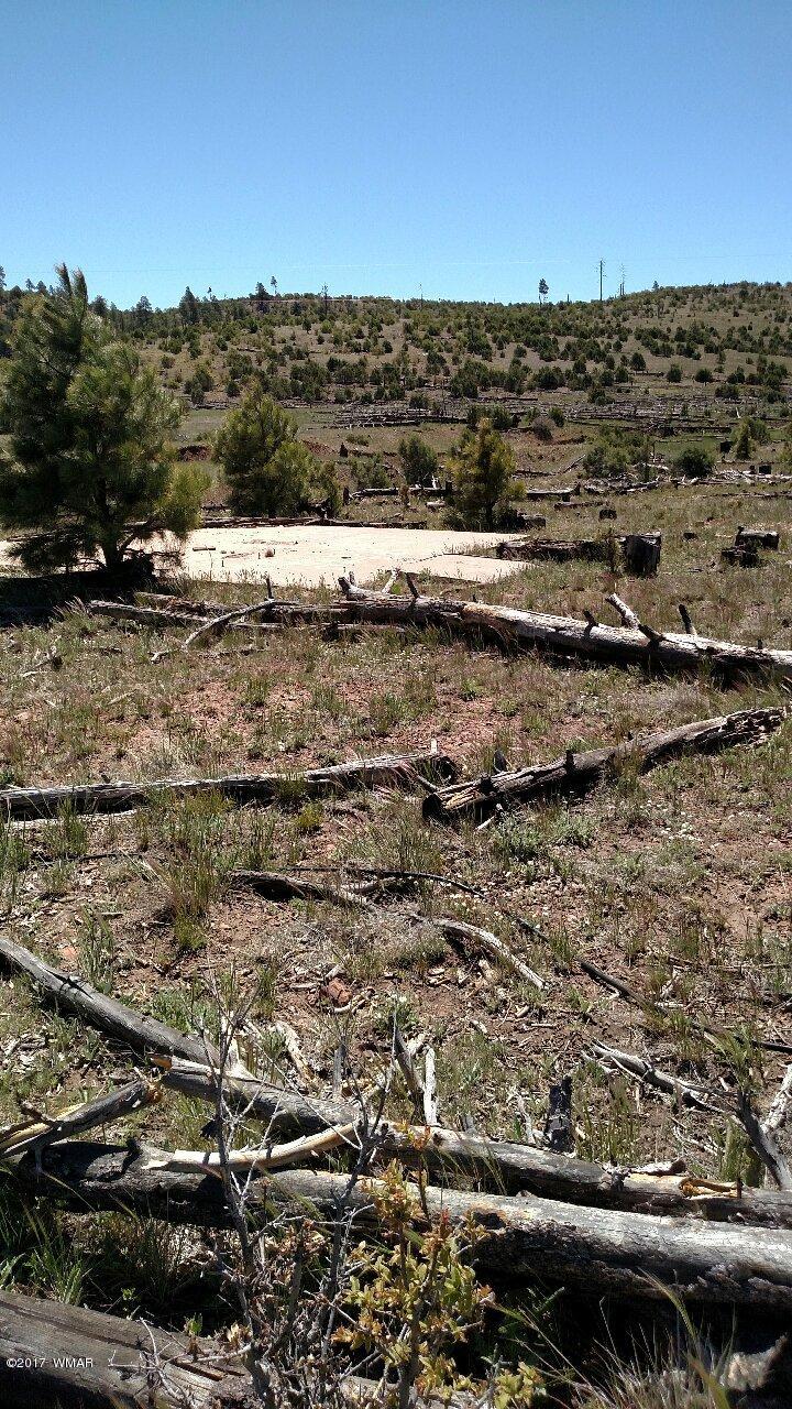 3657 Highway 260 Overgaard, AZ 85933 - Photo 5 of 15 a view of ocean view and city