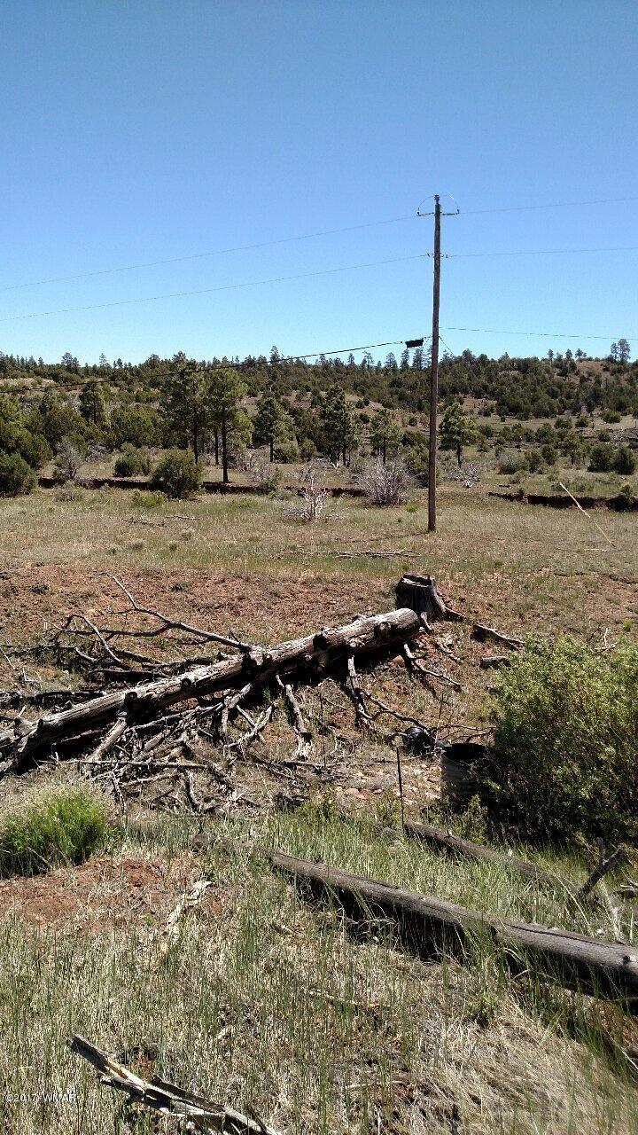 3657 Highway 260 Overgaard, AZ 85933 - Photo 6 of 15 a view of a lake with a large yard