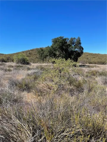 a view of a field with a tree in the background