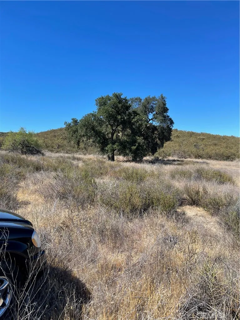 21 Stier Hemet, CA 92544 - Photo 5 of 12 a view of a yard