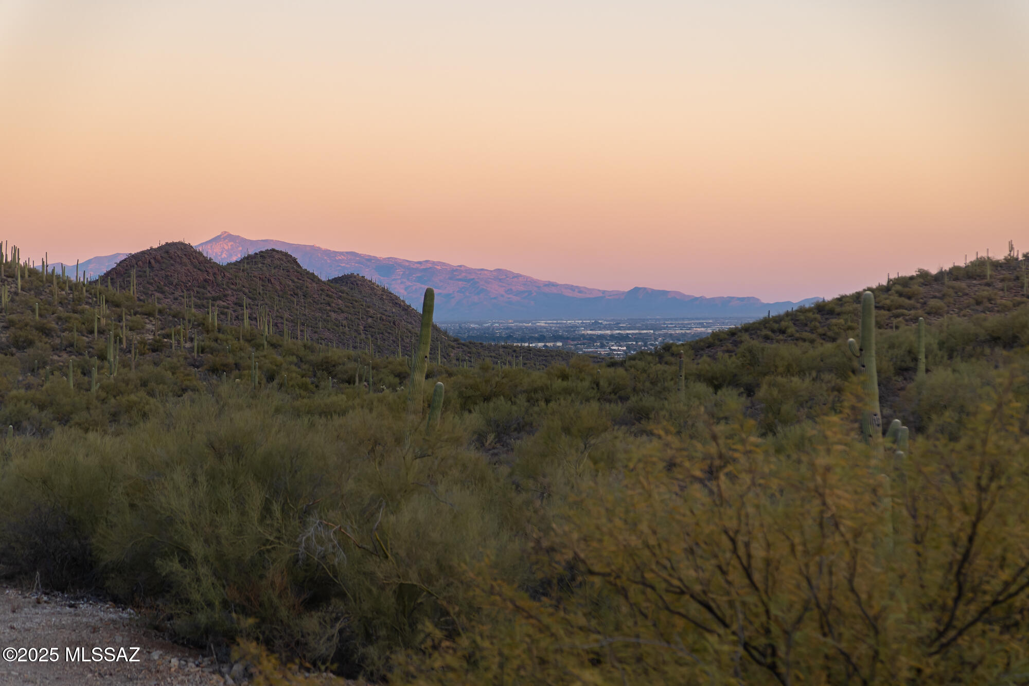 4350 South Century Road Tucson, AZ 85746 - Photo 2 of 47 sunset views
