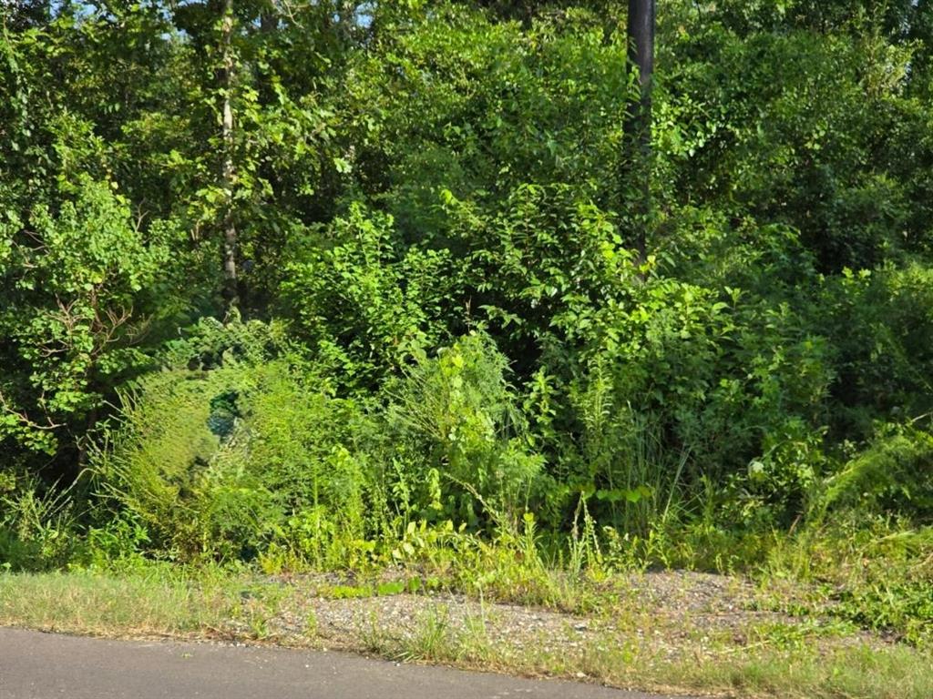 Tbd Tbd Andrew Mouhot Road Ragley, LA 70657 - Photo 2 of 2