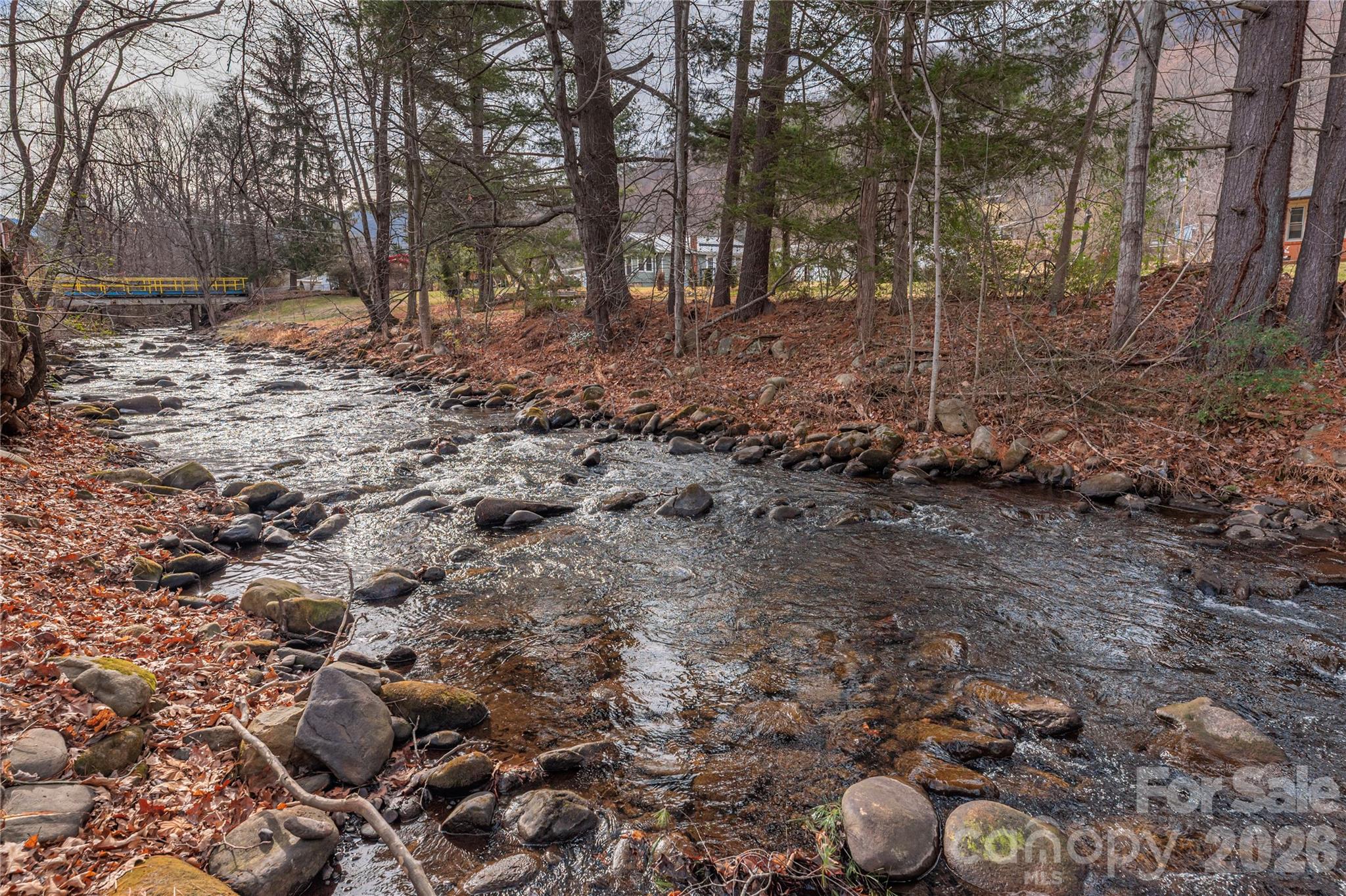 1496 Allens Creek Road Waynesville, NC 28786 - Photo 22 of 25 a view of a forest with trees