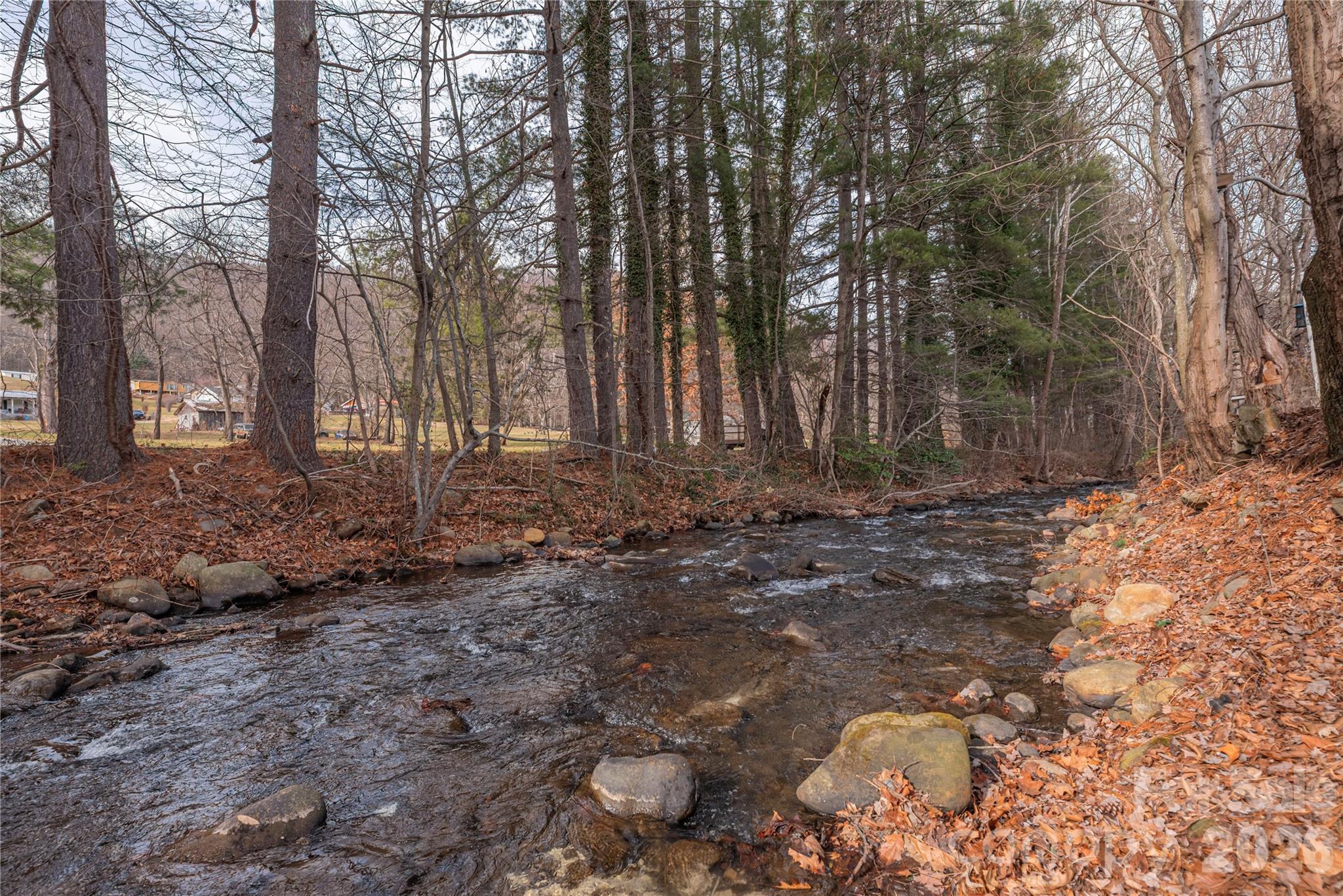 1496 Allens Creek Road Waynesville, NC 28786 - Photo 23 of 25 a view of backyard with green space