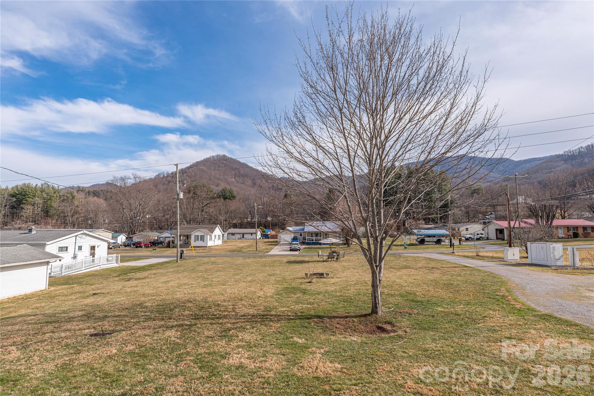 1496 Allens Creek Road Waynesville, NC 28786 - Photo 5 of 25 a view of a yard with a tree