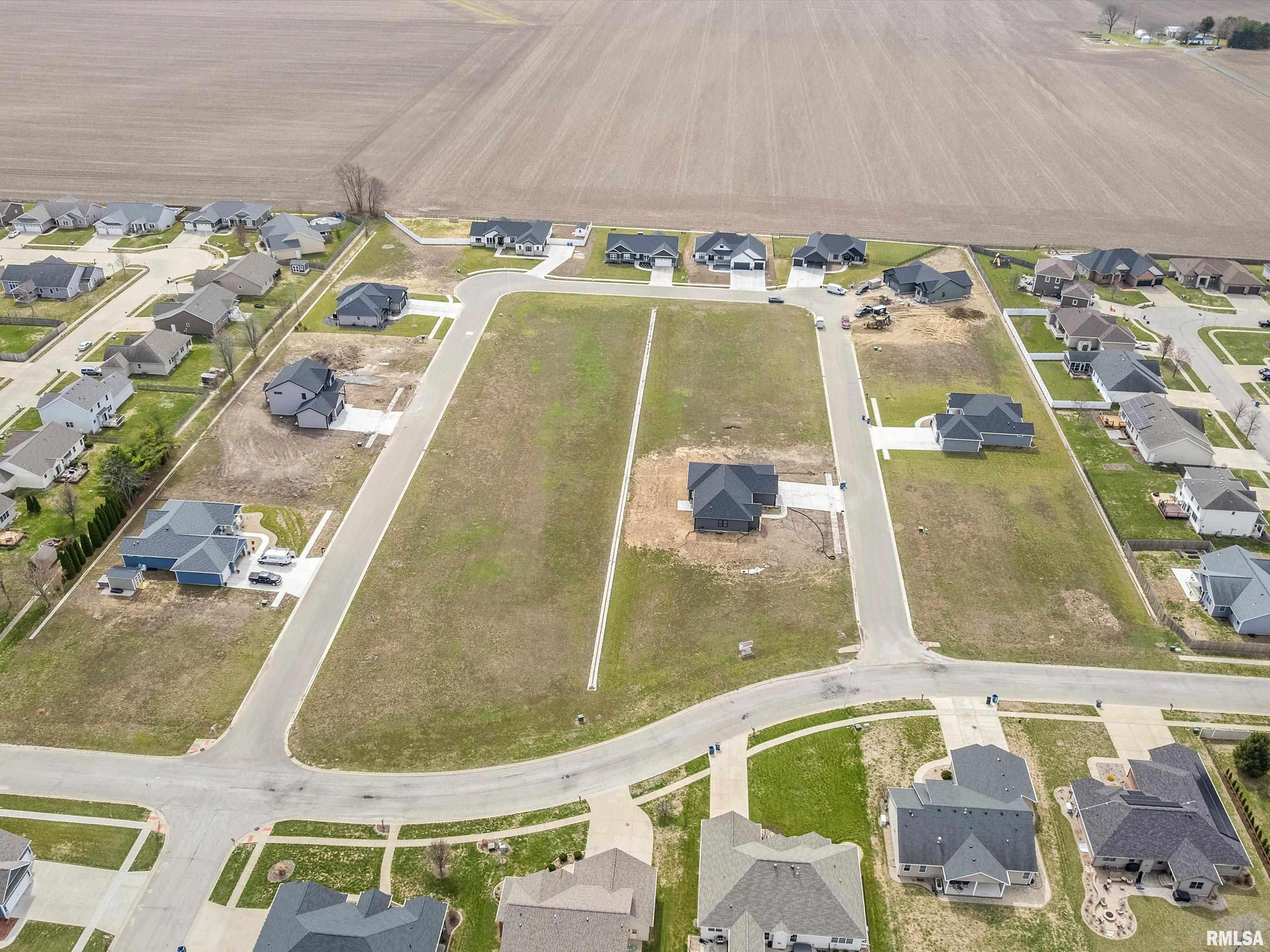 405 Sundown Lane Chatham, IL 62629 - Photo 5 of 6