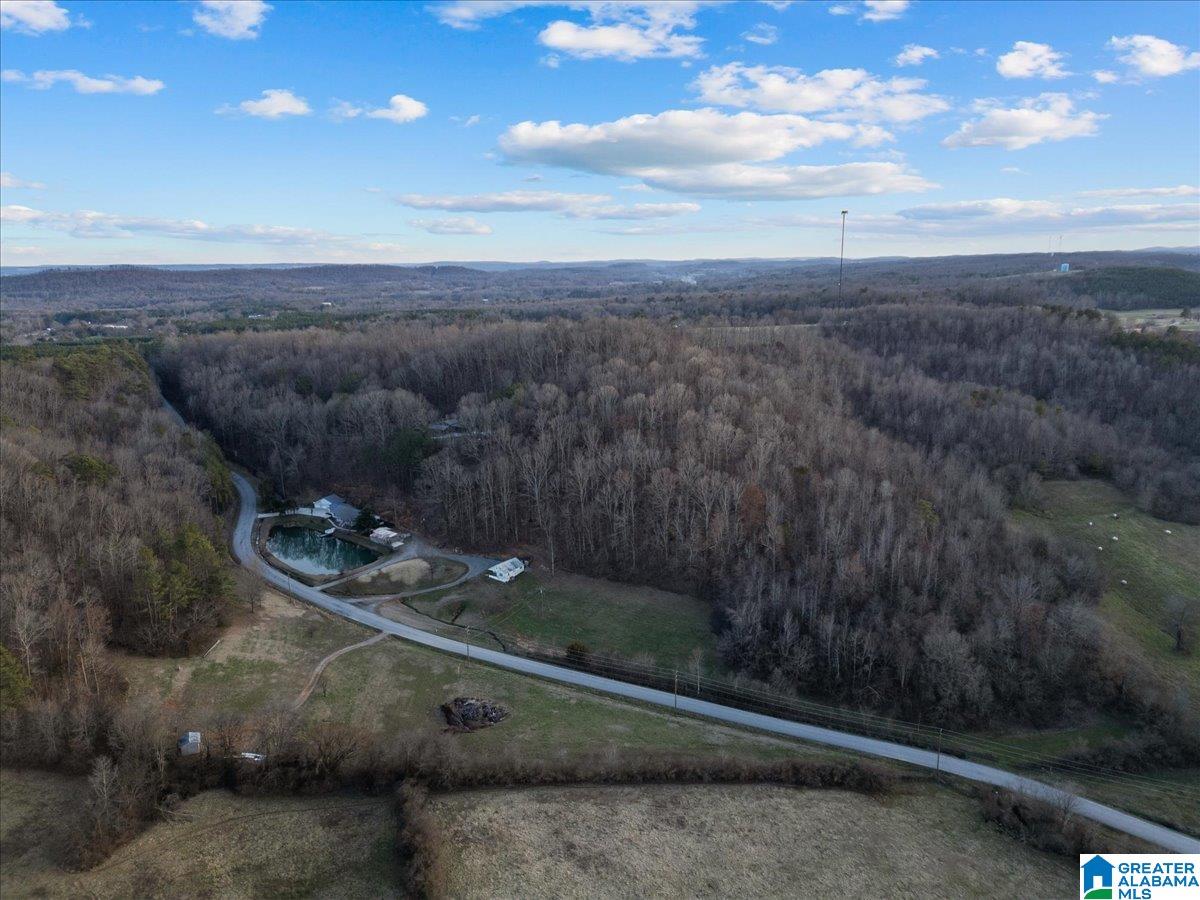 0 Rocky Hollow Road, Unit 10 Guntersville, AL 35976 - Photo 9 of 11