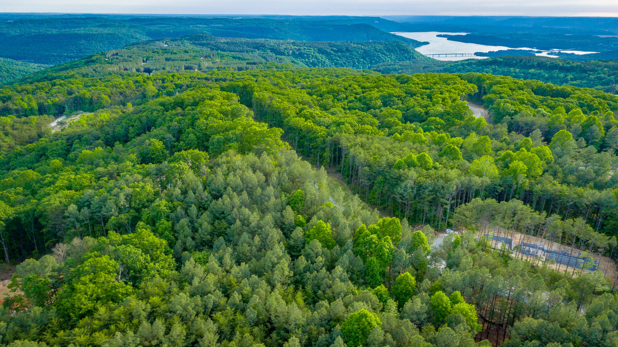 0 Cannon Way, Unit LOT 1317 Guild, TN 37340 - Photo 45 of 99 0 Cannon Way - Lot 1317 HD-29