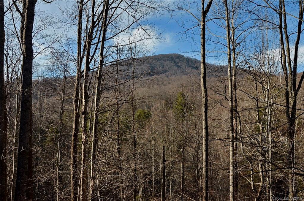 169 Violet Ridge Waynesville, NC 28785 - Photo 12 of 13 Gallery Image 12