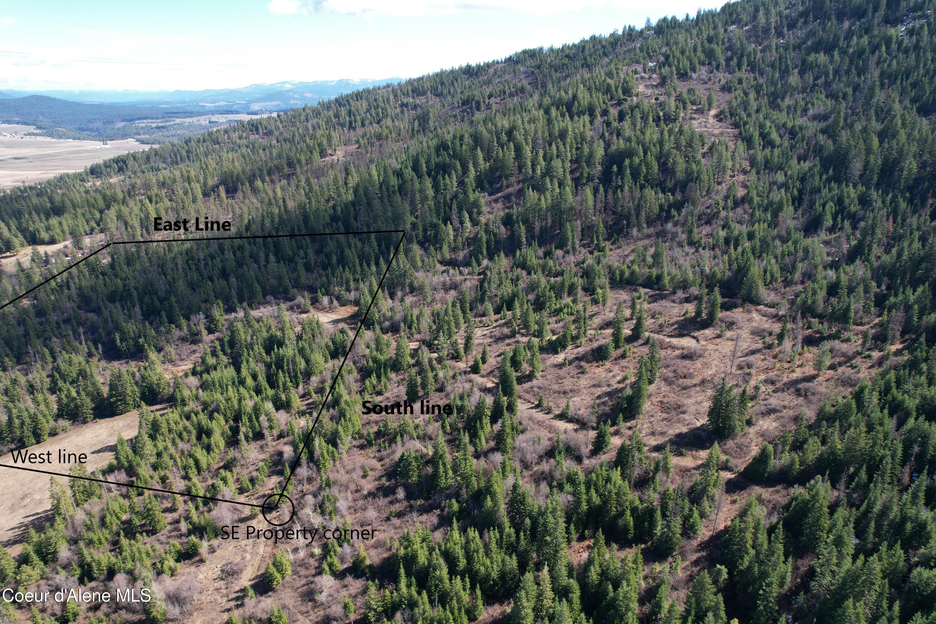 5 Thimbleberry Lane Plummer, ID 83851 - Photo 1 of 27 Aerial w/borders