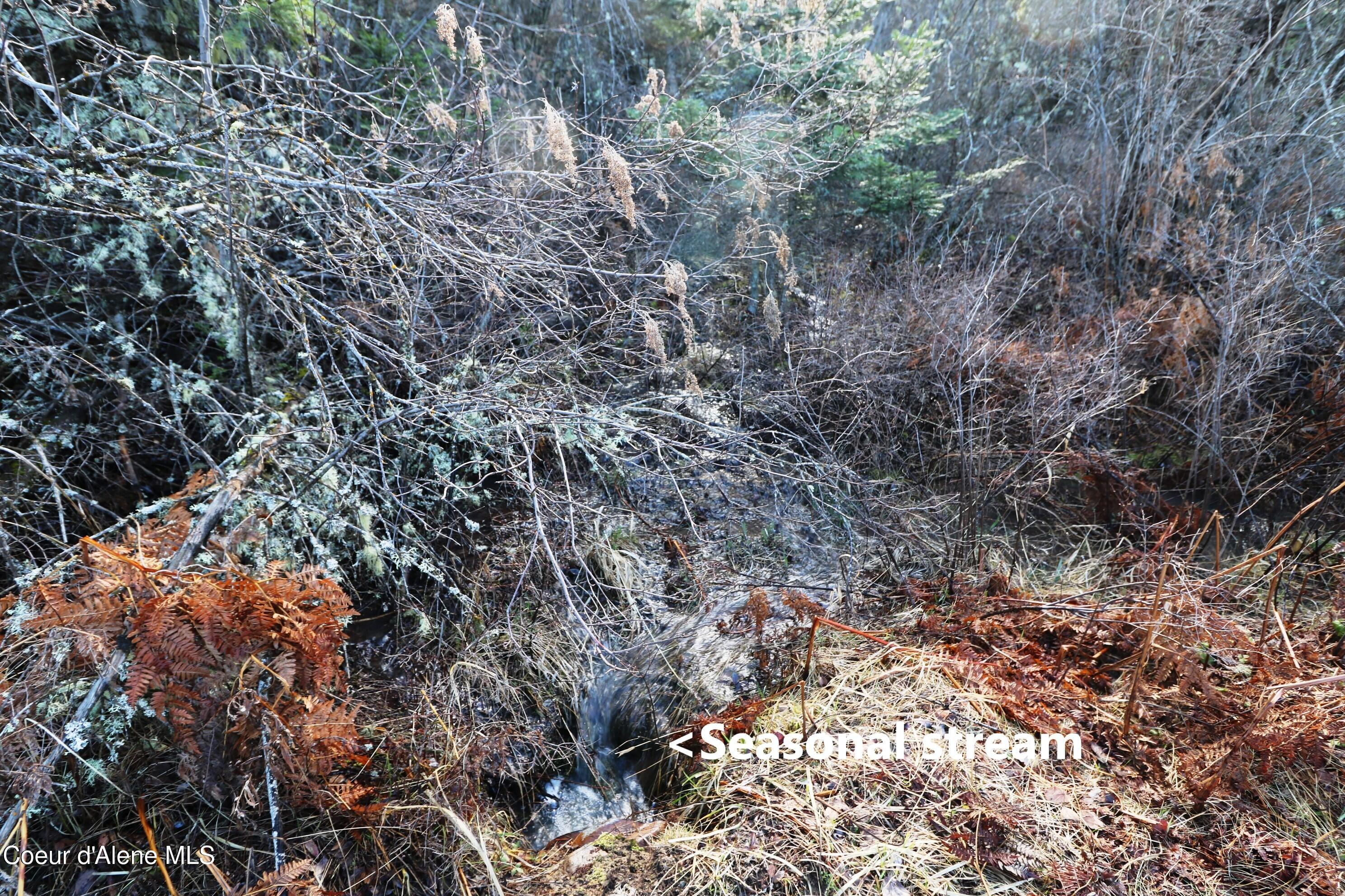 5 Thimbleberry Lane Plummer, ID 83851 - Photo 16 of 27 Seasonal Stream