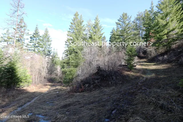 $216,800 | 5 Thimbleberry Lane, Plummer, ID 83851