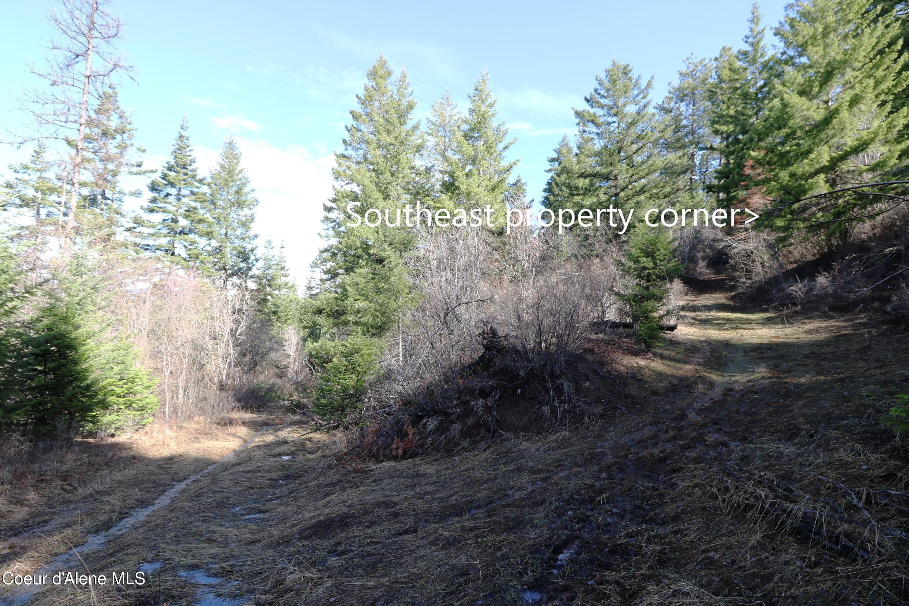 5 Thimbleberry Lane Plummer, ID 83851 - Photo 17 of 27 Road to SE property corner