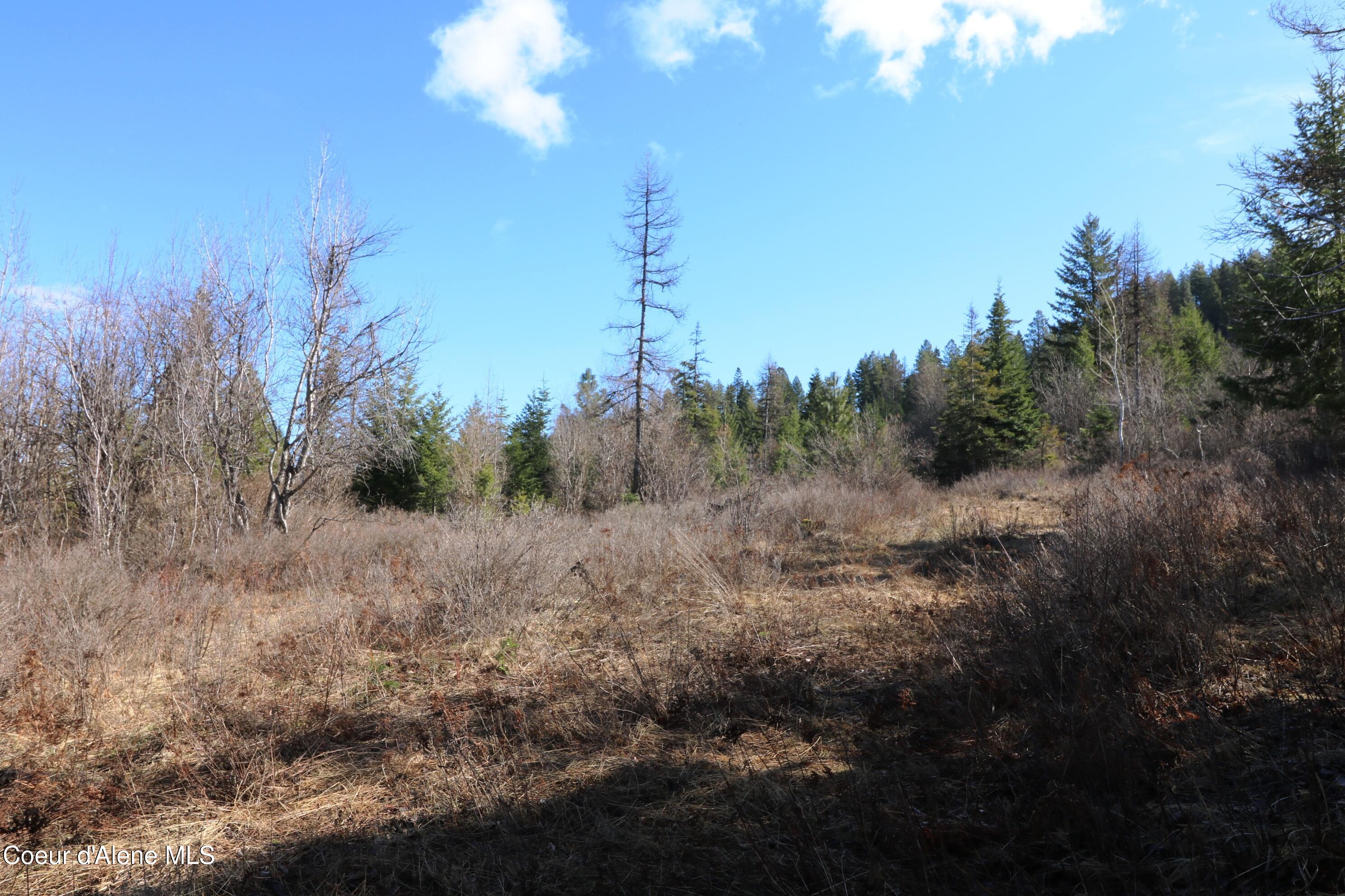 5 Thimbleberry Lane Plummer, ID 83851 - Photo 19 of 27 Alternative building site