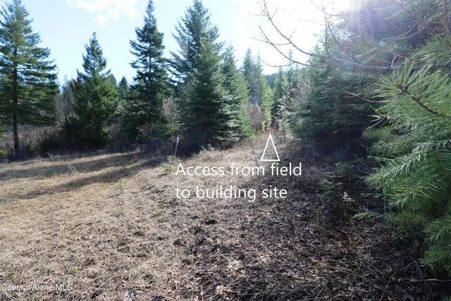 $216,800 | 5 Thimbleberry Lane, Plummer, ID 83851