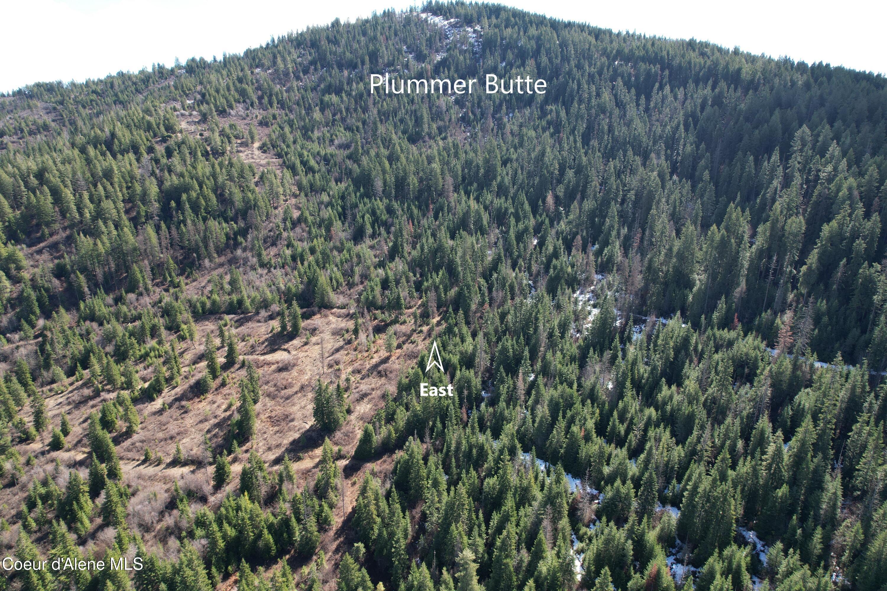 5 Thimbleberry Lane Plummer, ID 83851 - Photo 27 of 27 Aerial East