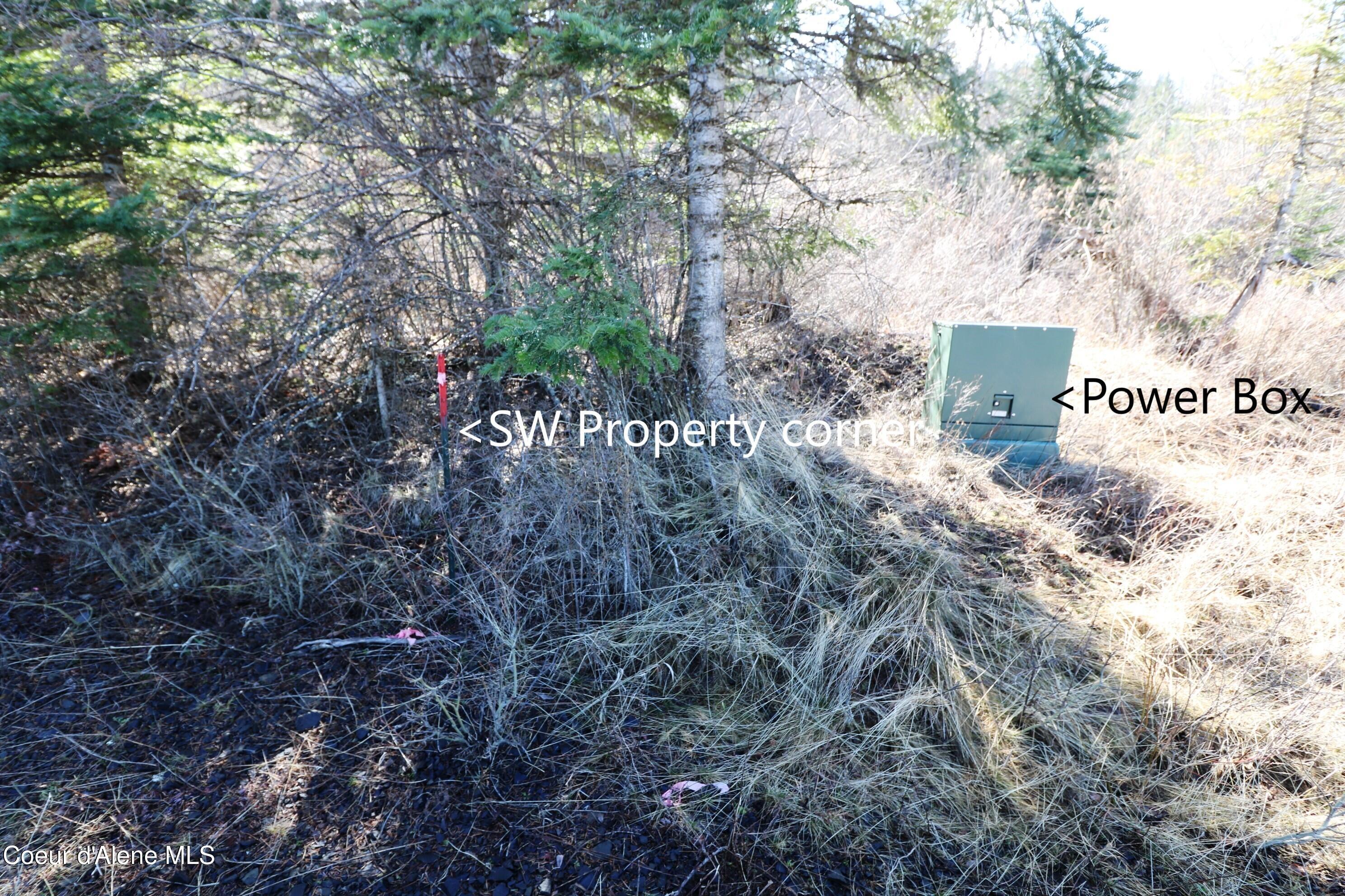 5 Thimbleberry Lane Plummer, ID 83851 - Photo 9 of 27 SW corner & Electric service