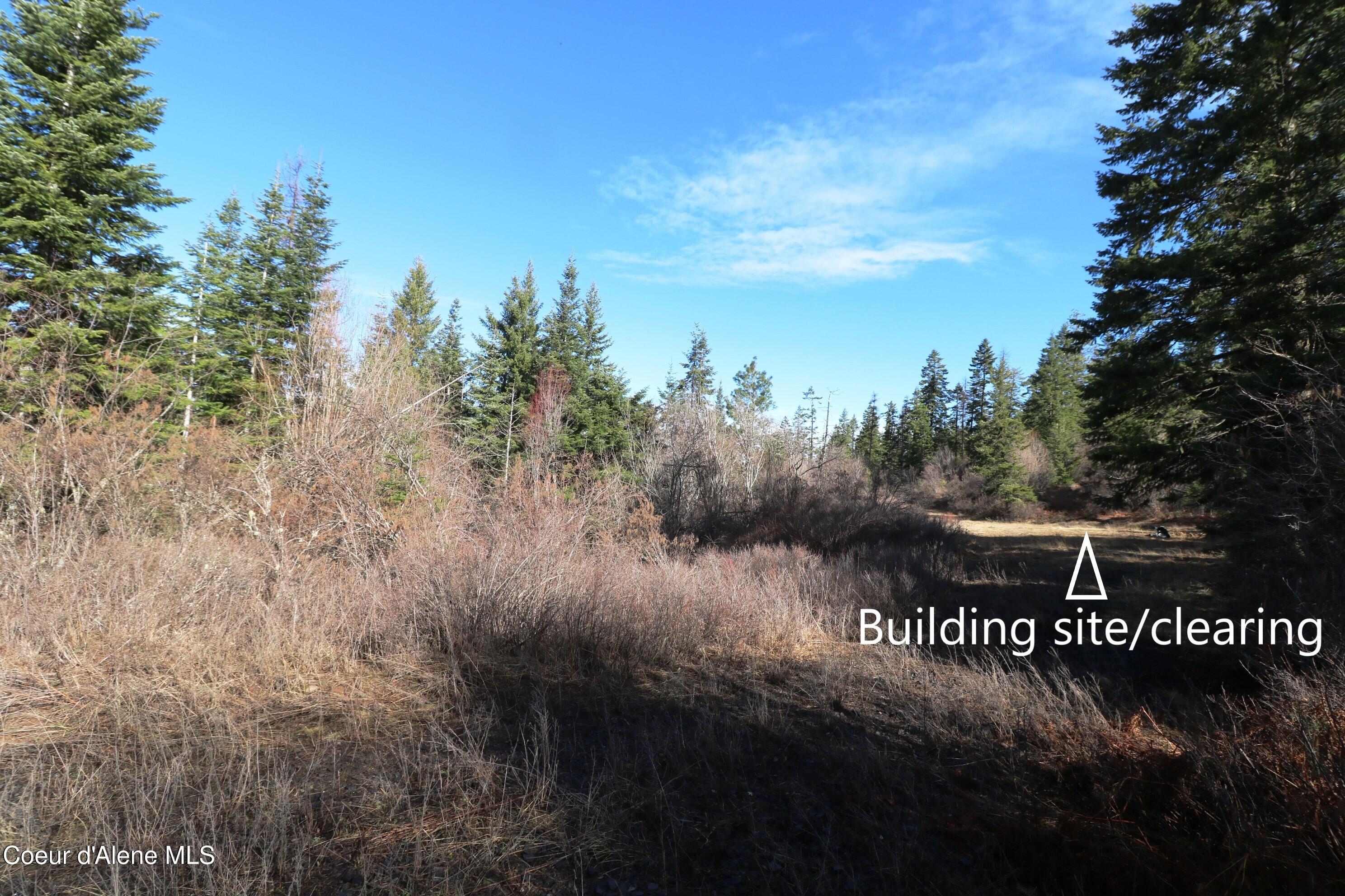 5 Thimbleberry Lane Plummer, ID 83851 - Photo 10 of 27 Access road to building site