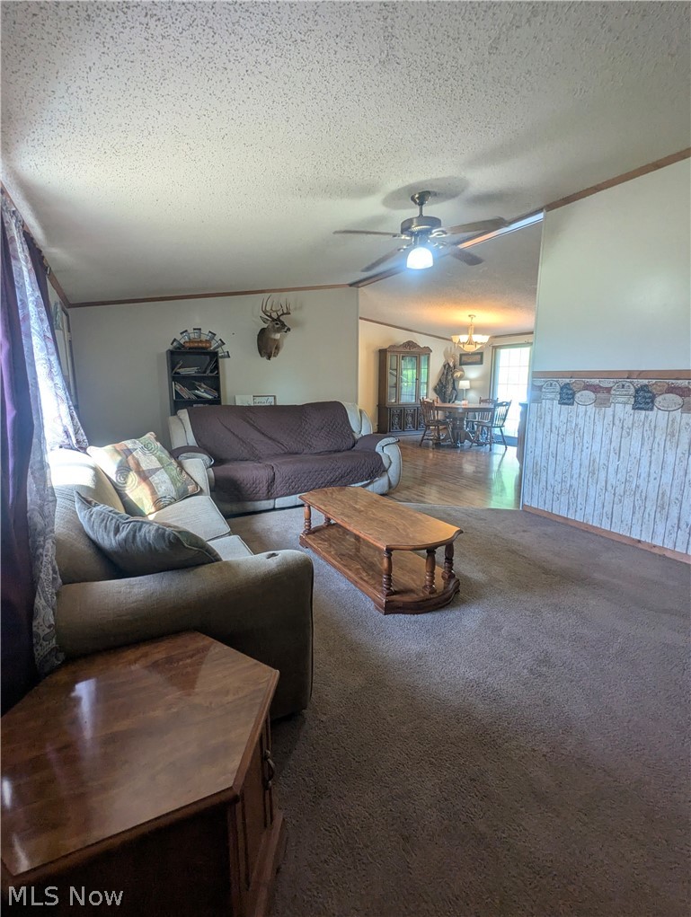 17960 Raven Road Salesville, OH 43778 - Photo 14 of 27 Expansive living area featuring carpet flooring, a ceiling fan, and access to a dining area with wood-finish flooring