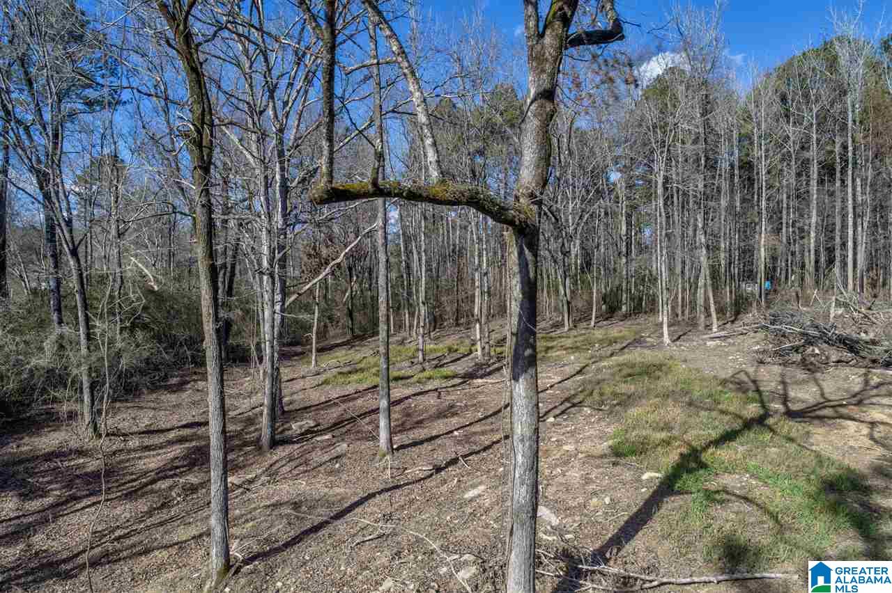 4491 Jim Tate Road Dora, AL 35062 - Photo 3 of 15